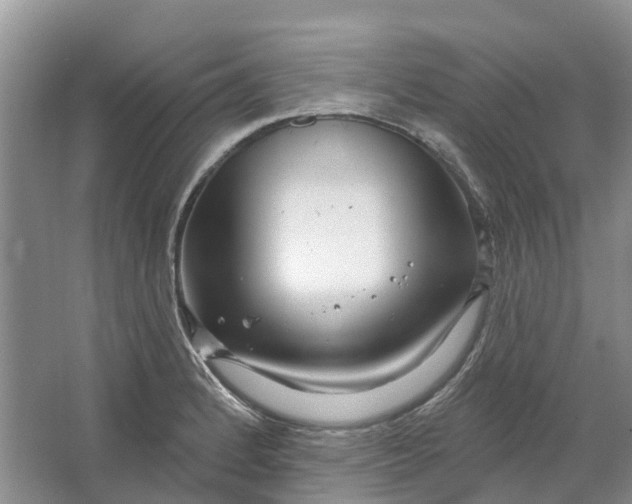 X0000064721184200602241627