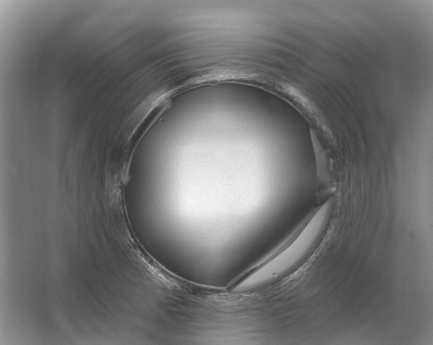 X0000064721185200602241627