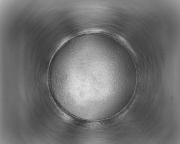 X0000064721186200602241627