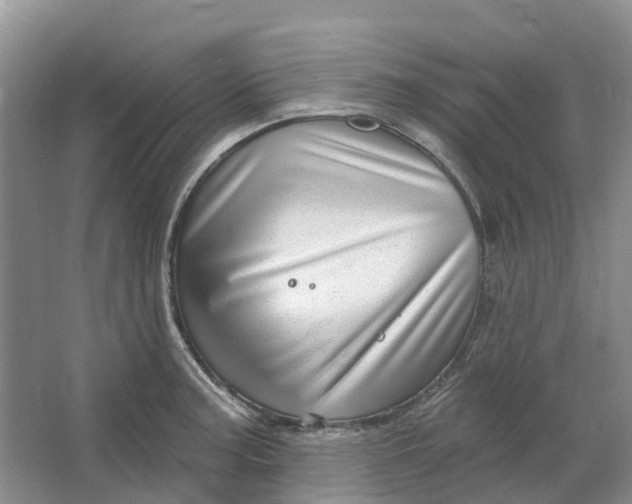 X0000064721187200602241627