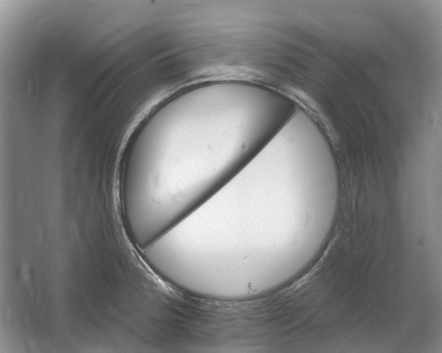 X0000064721188200602241627