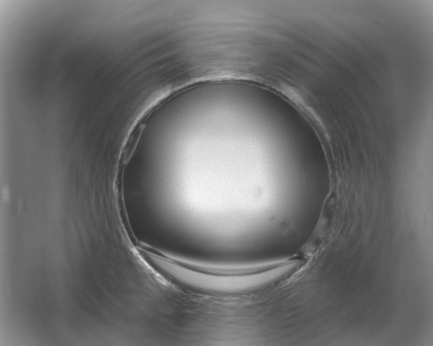 X0000064721189200602241627