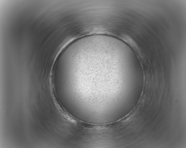 X0000064721190200602241627