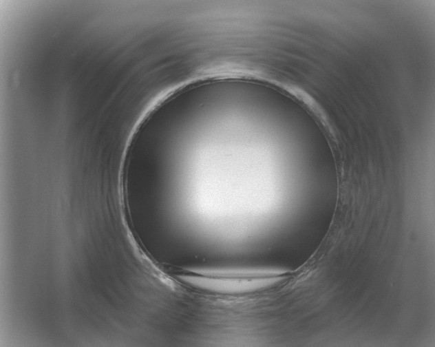 X0000064721191200602241627