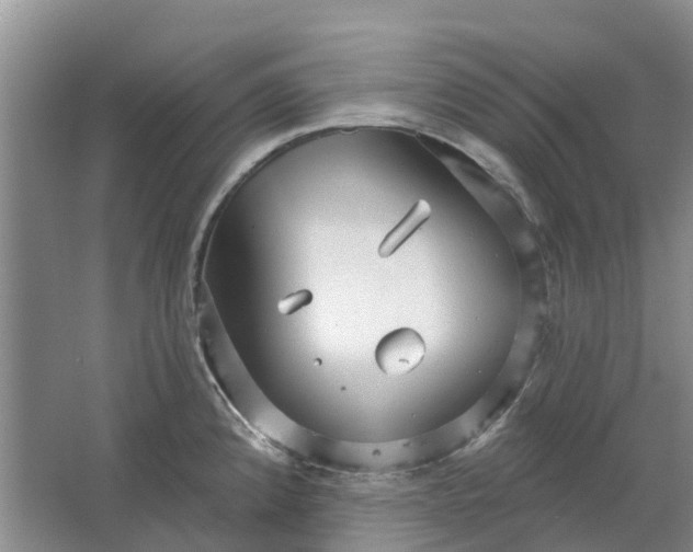 X0000064721192200602241627