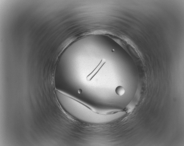 X0000064721193200602241627