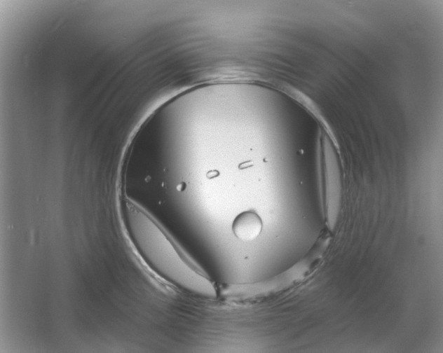 X0000064721195200602241627