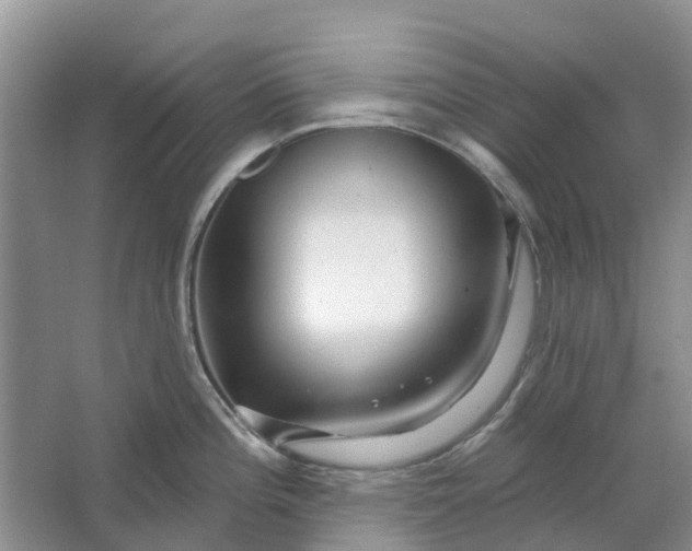 X0000064721196200602241627