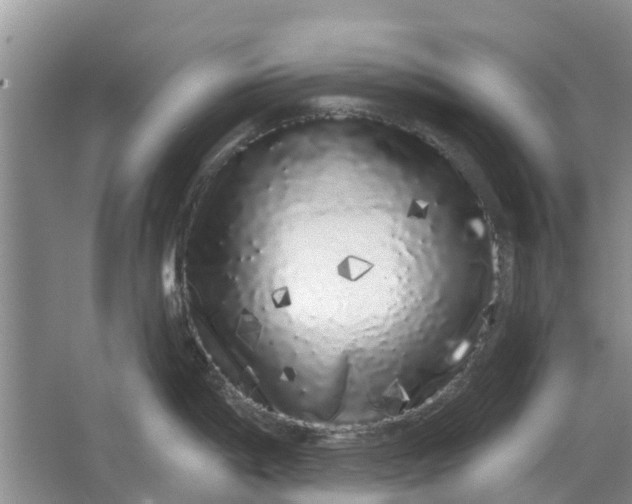 X0000064721198200602241627