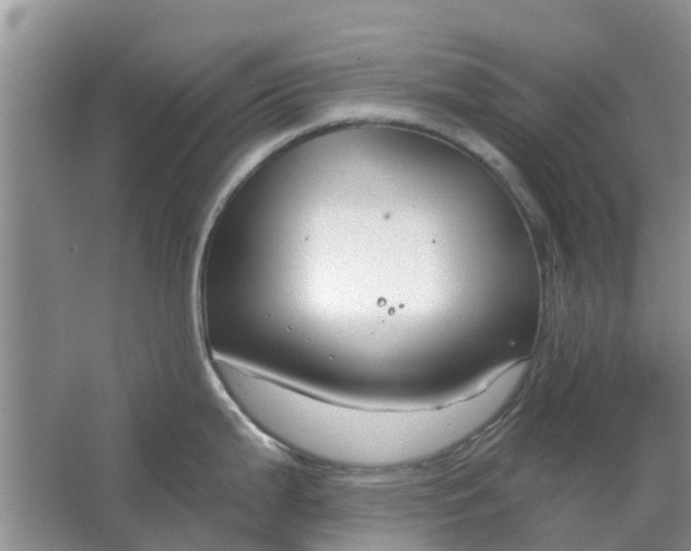 X0000064721199200602241627