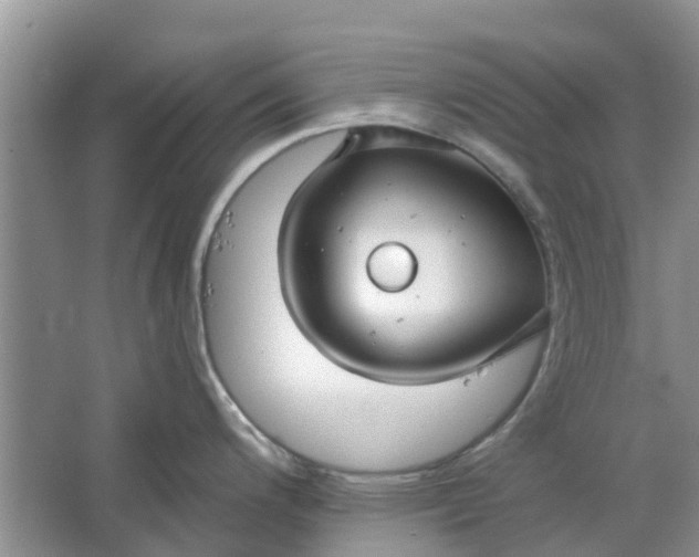 X0000064721200200602241627