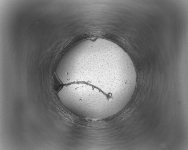 X0000064721201200602241626