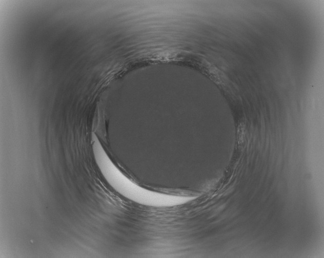 X0000064721202200602241626