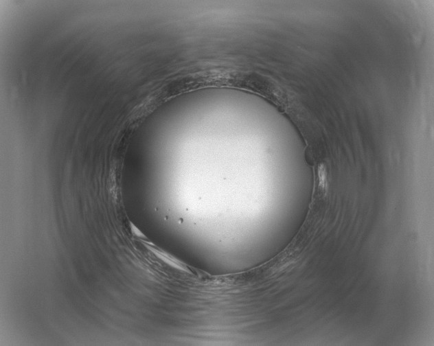 X0000064721203200602241626