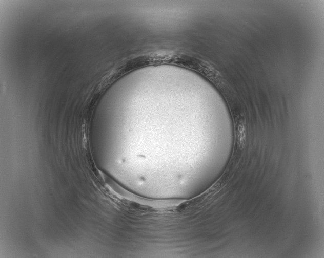 X0000064721204200602241626