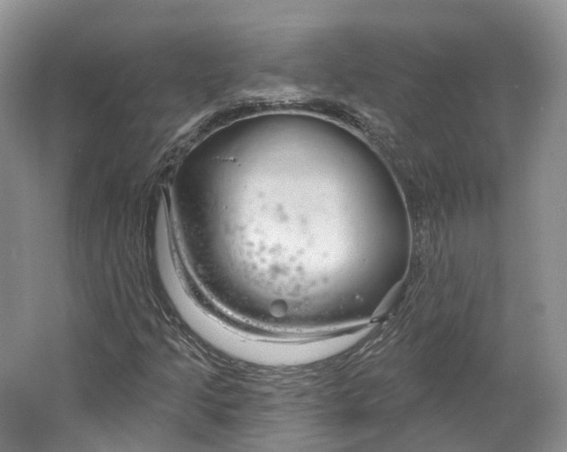 X0000064721205200602241626