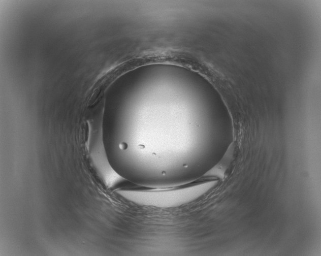 X0000064721206200602241626