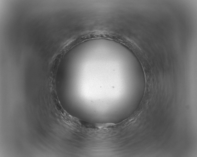 X0000064721207200602241626