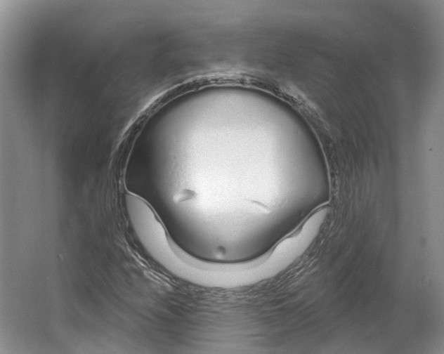 X0000064721208200602241626