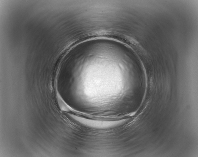 X0000064721209200602241626