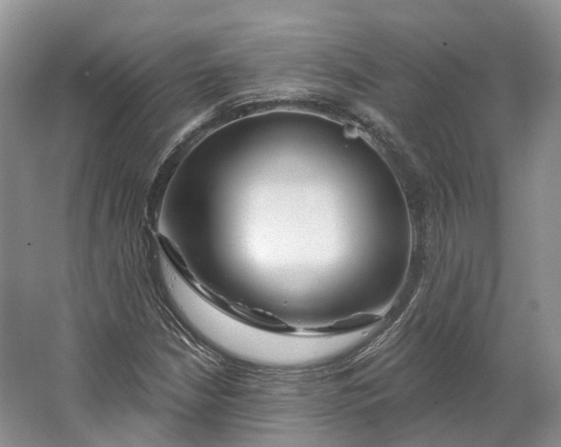 X0000064721210200602241626