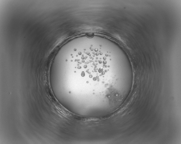 X0000064721211200602241626