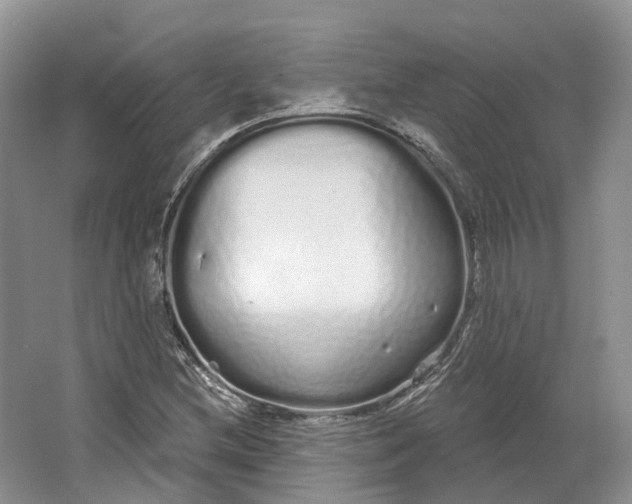 X0000064721212200602241626