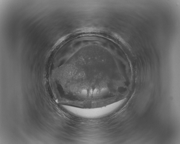 X0000064721213200602241626