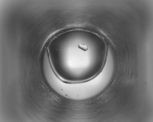 X0000064721214200602241626