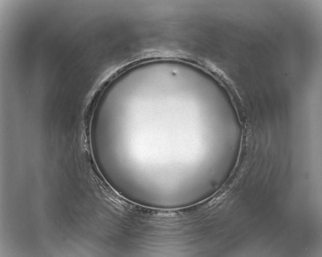 X0000064721215200602241626