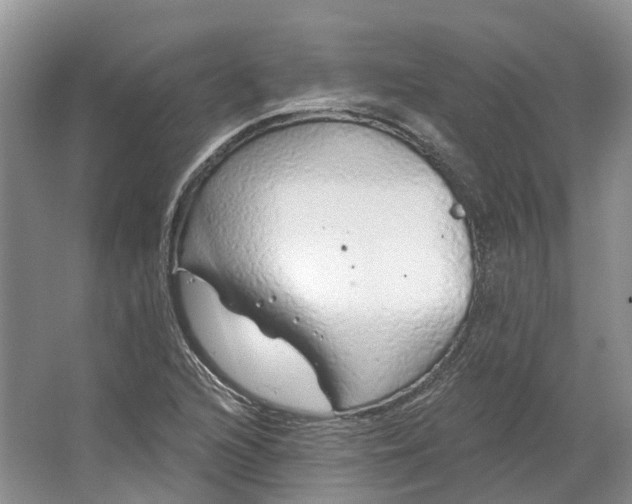 X0000064721216200602241626