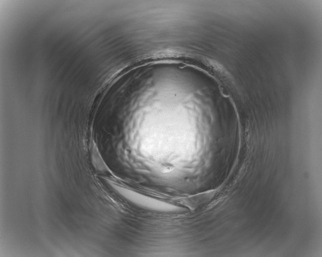 X0000064721217200602241626