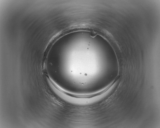 X0000064721218200602241626