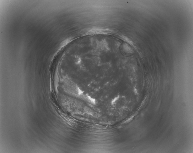 X0000064721219200602241626