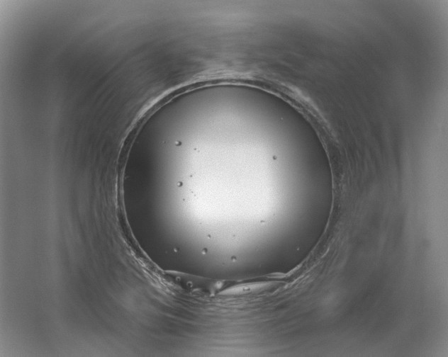 X0000064721220200602241626