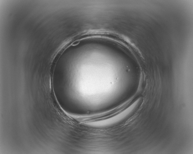 X0000064721221200602241626