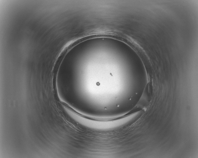 X0000064721222200602241626