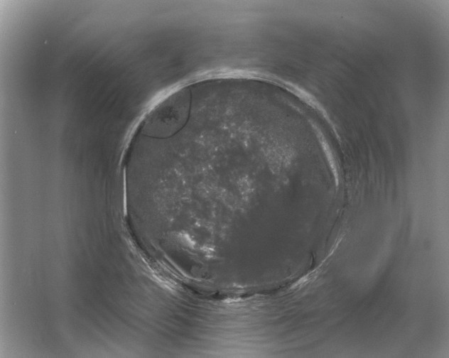 X0000064721223200602241626