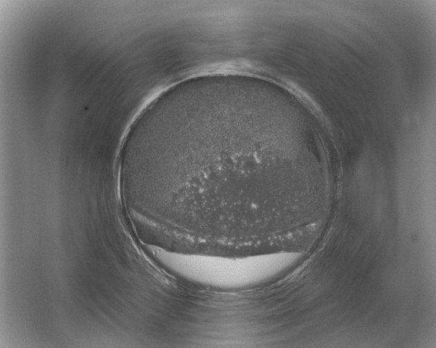 X0000064721224200602241626