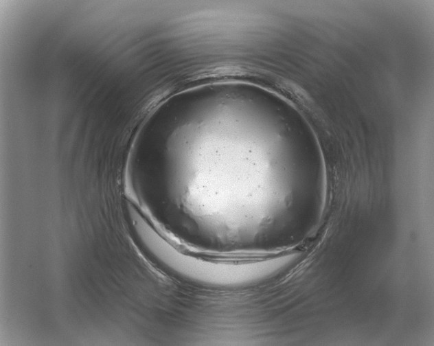 X0000064721225200602241626