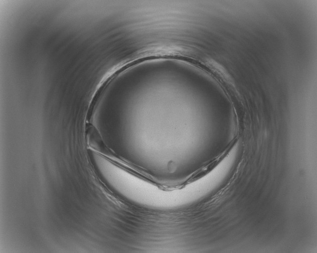 X0000064721226200602241626