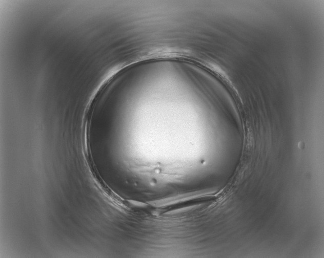 X0000064721227200602241626