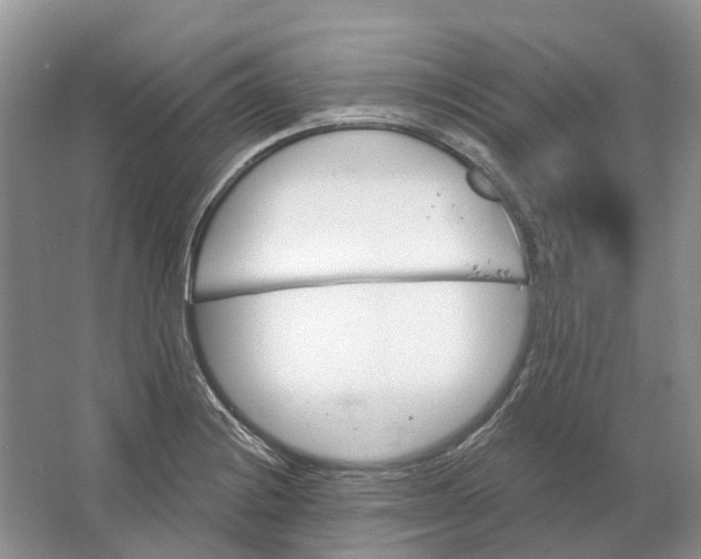 X0000064721228200602241626