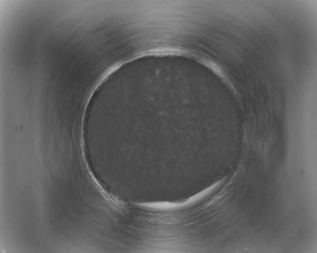 X0000064721229200602241626