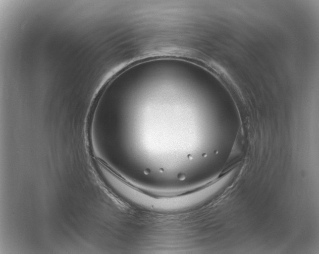 X0000064721230200602241626