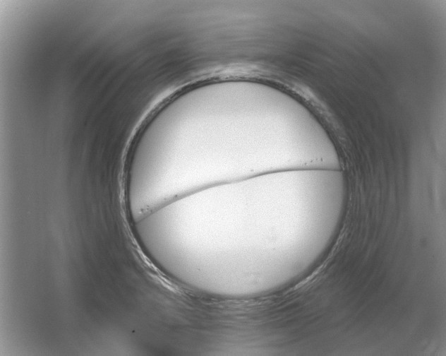 X0000064721232200602241627