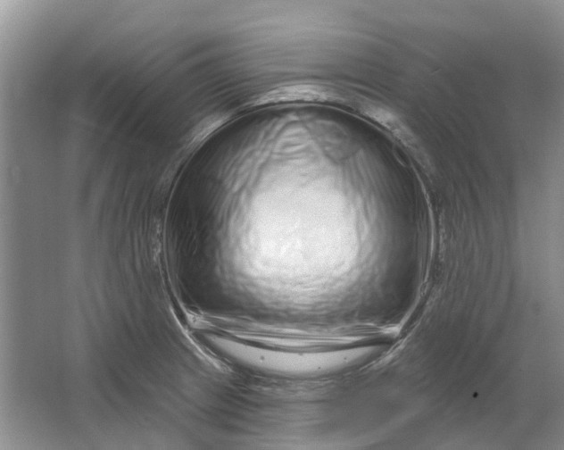 X0000064721233200602241627