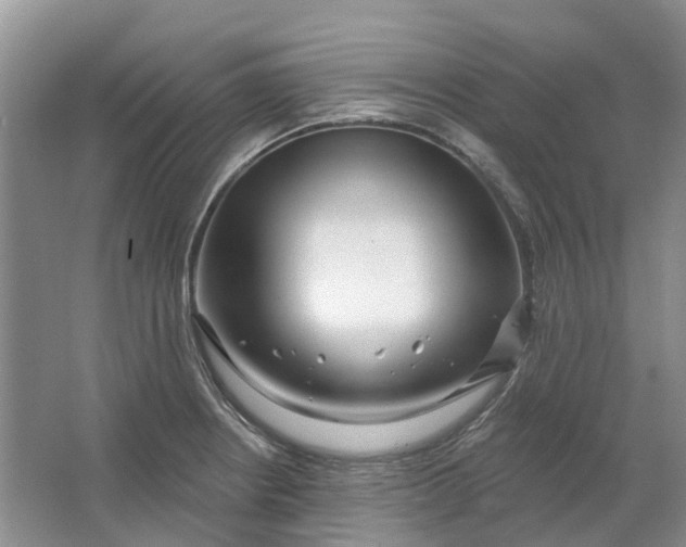 X0000064721234200602241627