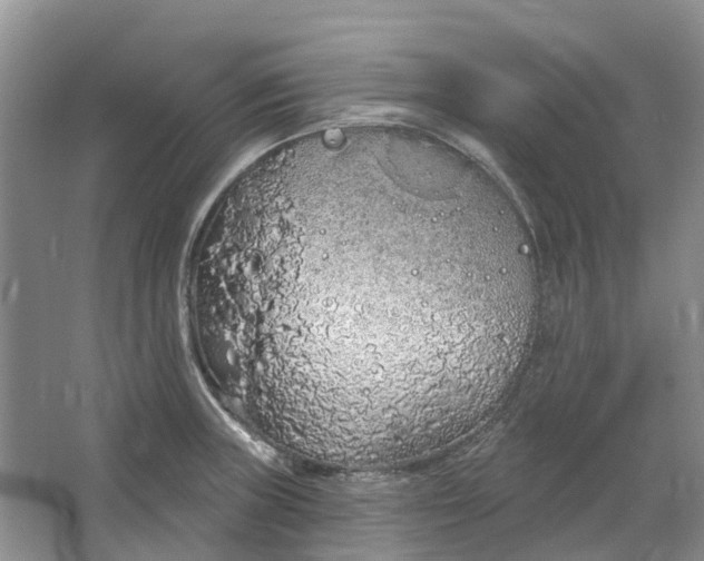 X0000064721235200602241627