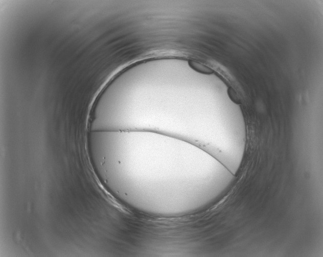 X0000064721236200602241627